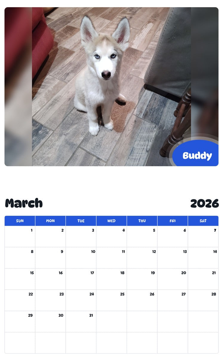 November 2025 - October 2026 Buddy - Pawidols Pet Calendar