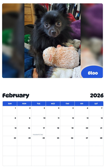 October 2025 - September 2026 Bloo - Pawidols Pet Calendar