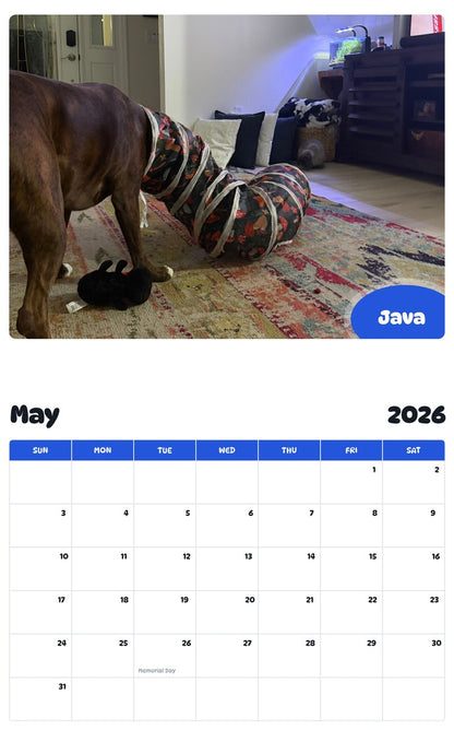 2026 - 2027 Java - Pawidols Pet Calendar