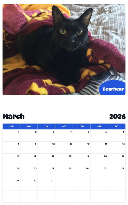 November 2025 - October 2026 Bearbear - Pawidols Pet Calendar