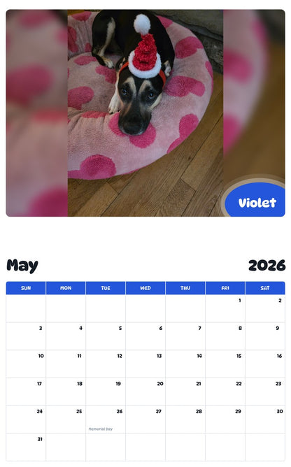 2026 - 2027 Violet - Pawidols Pet Calendar