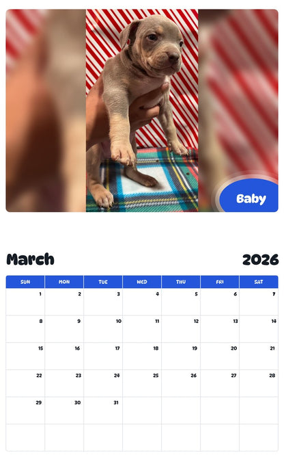 November 2025 - October 2026 Baby - Pawidols Pet Calendar