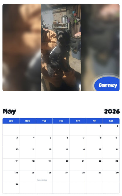 2026 - 2027 Barney - Pawidols Pet Calendar