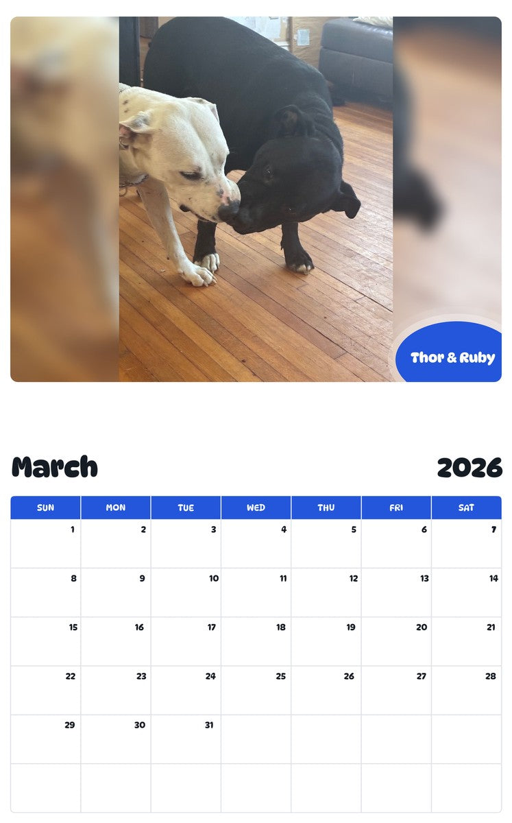 November 2025 - October 2026 Thor & Ruby - Pawidols Pet Calendar