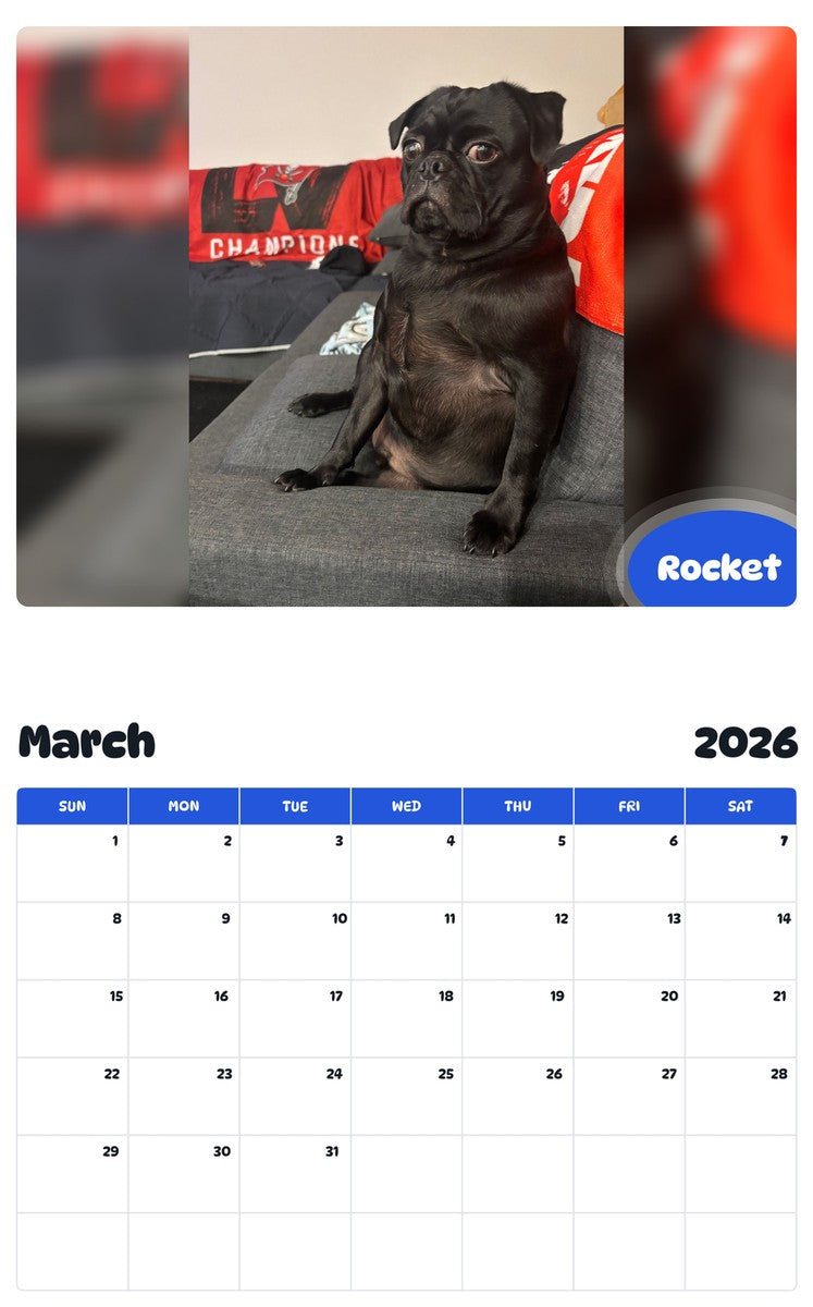 November 2025 - October 2026 Rocket - Pawidols Pet Calendar