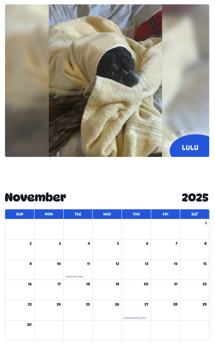 July 2025 - June 2026 LULU - Pawidols Pet Calendar