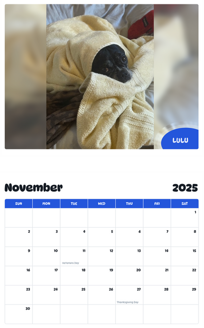 July 2025 - June 2026 LULU - Pawidols Pet Calendar