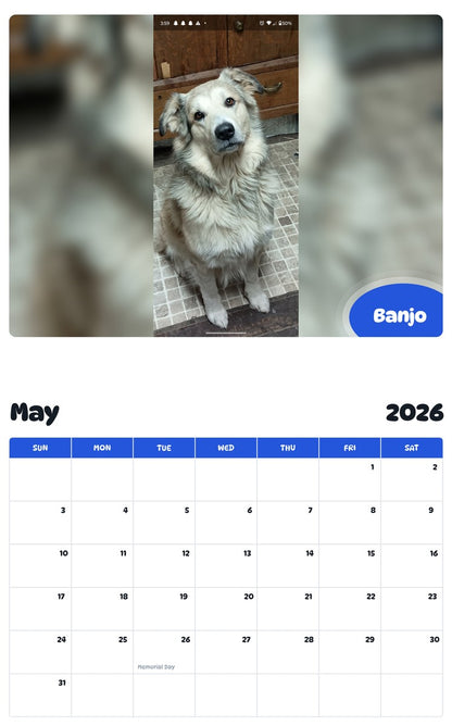 2026 - 2027 Banjo - Pawidols Pet Calendar
