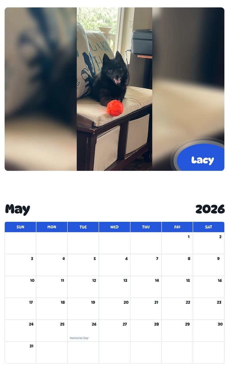2026 - 2027 Lacy - Pawidols Pet Calendar