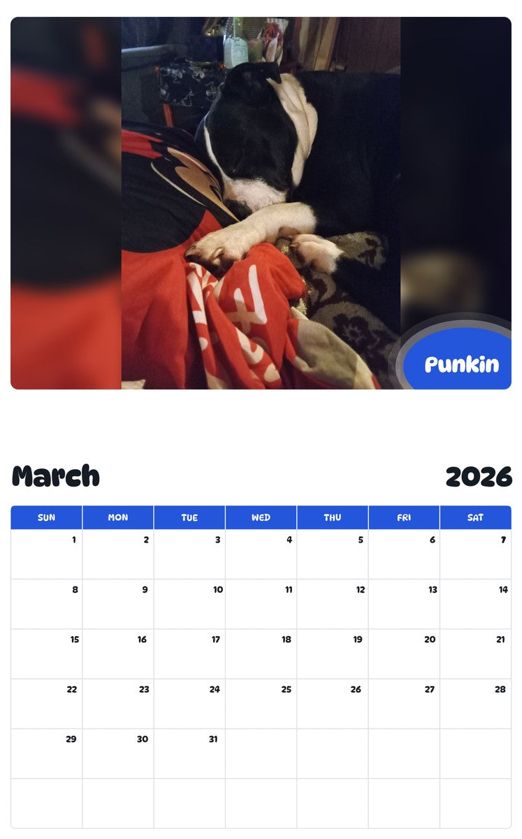 November 2025 - October 2026 Punkin - Pawidols Pet Calendar