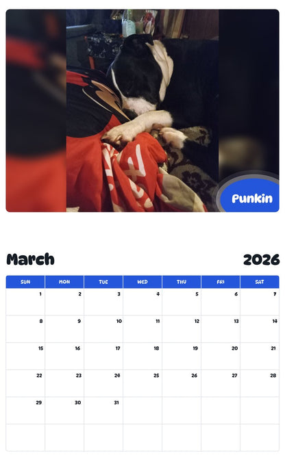 November 2025 - October 2026 Punkin - Pawidols Pet Calendar