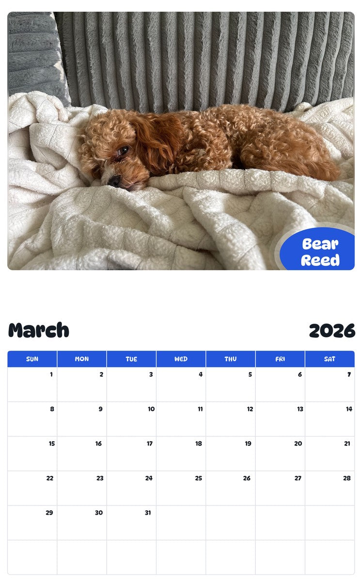 November 2025 - October 2026 Bear Reed - Pawidols Pet Calendar