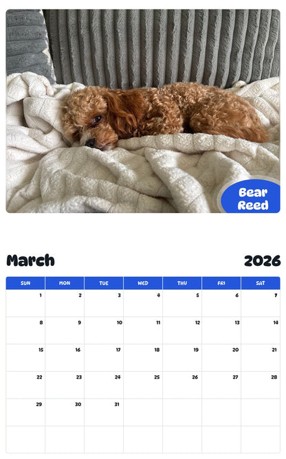 November 2025 - October 2026 Bear Reed - Pawidols Pet Calendar