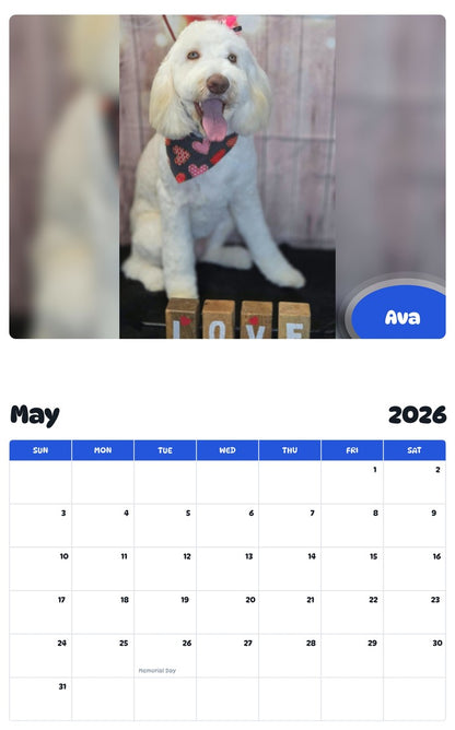2026 - 2027 Ava - Pawidols Pet Calendar