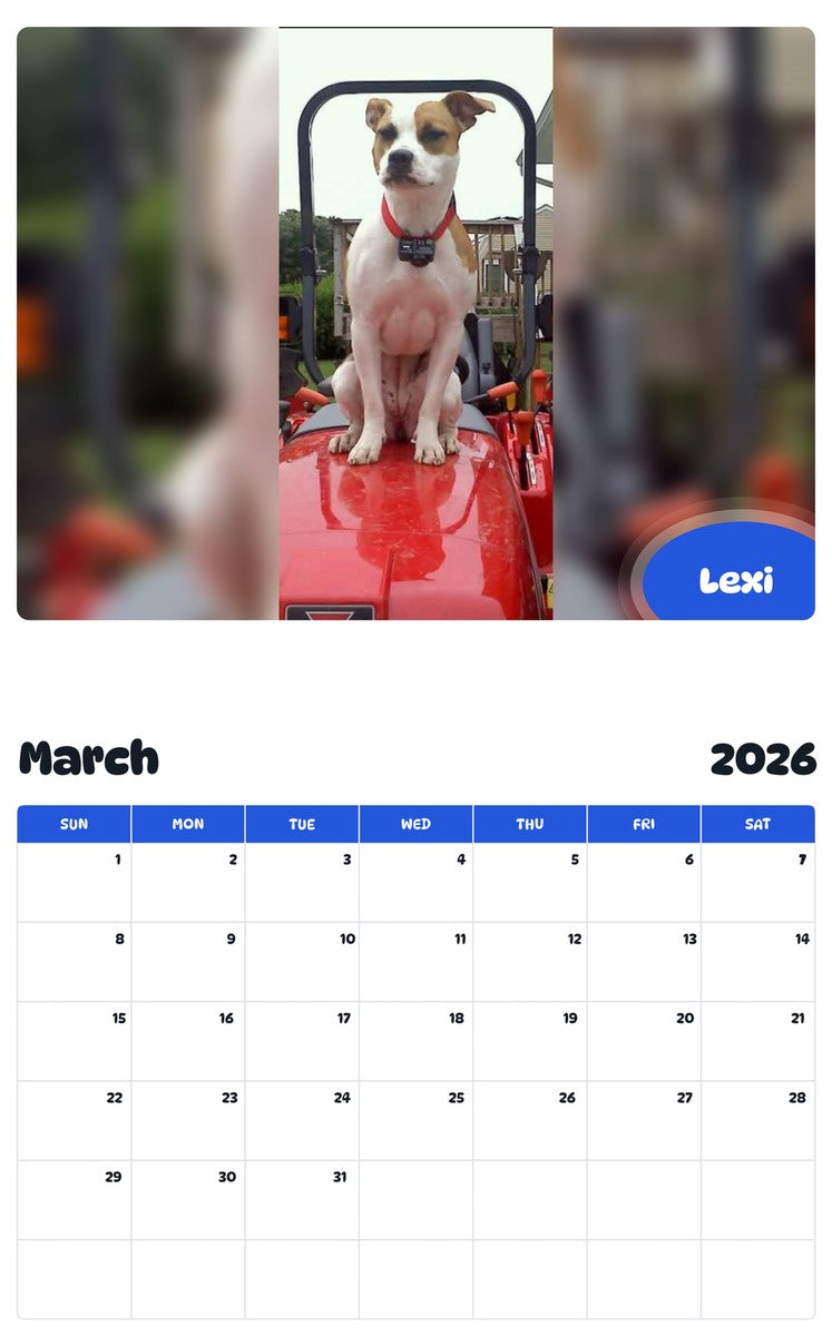 November 2025 - October 2026 Lexi - Pawidols Pet Calendar