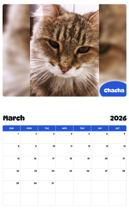 November 2025 - October 2026 Chacha - Pawidols Pet Calendar
