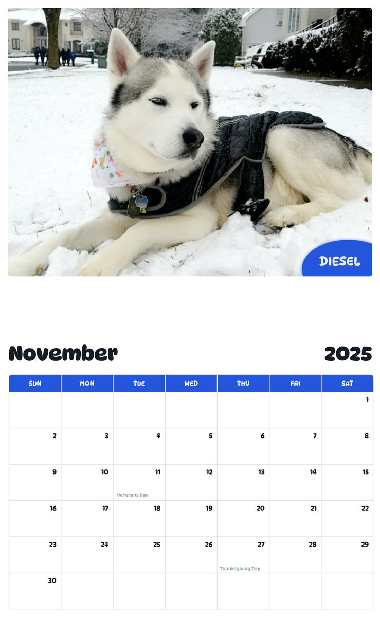 July 2025 - June 2026 Diesel - Pawidols Pet Calendar