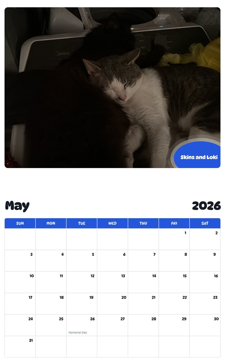 2026 - 2027 Skins and Loki - Pawidols Pet Calendar