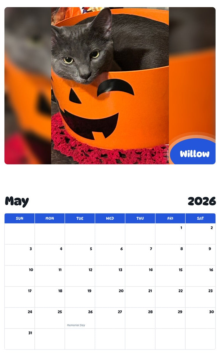 2026 - 2027 Willow - Pawidols Pet Calendar