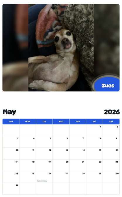 2026 - 2027 Zues - Pawidols Pet Calendar