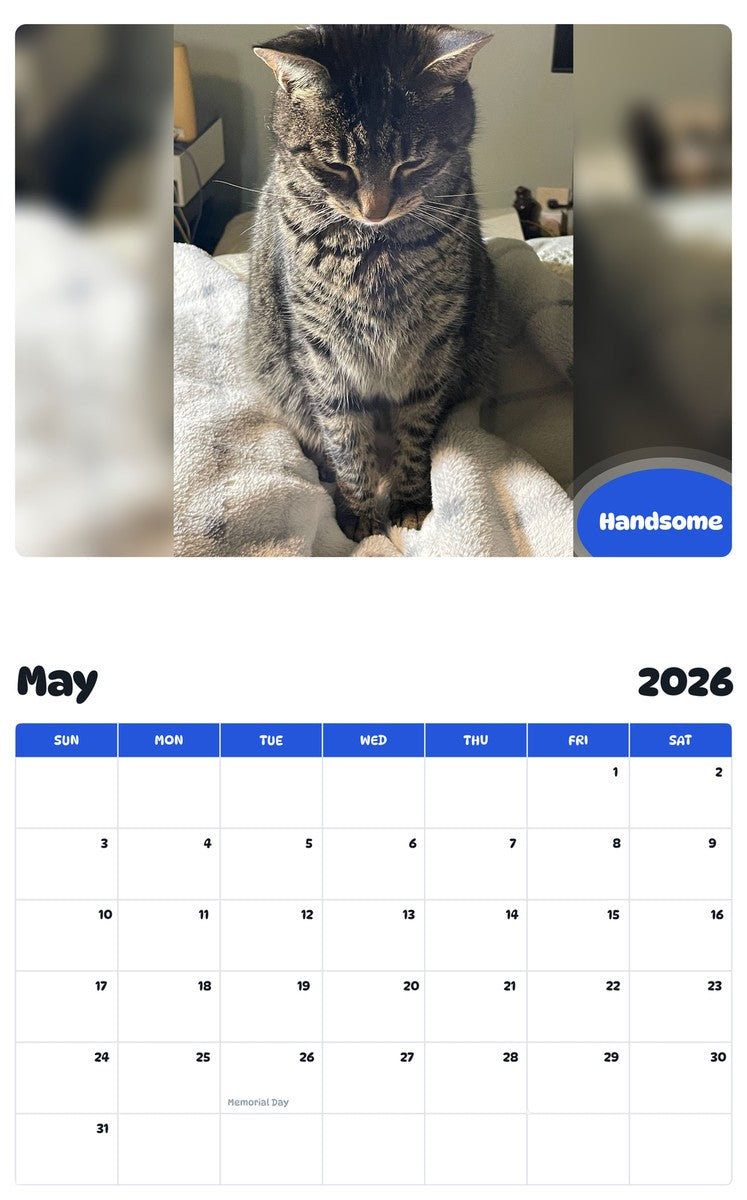 2026 - 2027 Handsome - Pawidols Pet Calendar