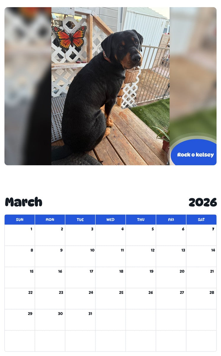 November 2025 - October 2026 Rock o kelsey - Pawidols Pet Calendar