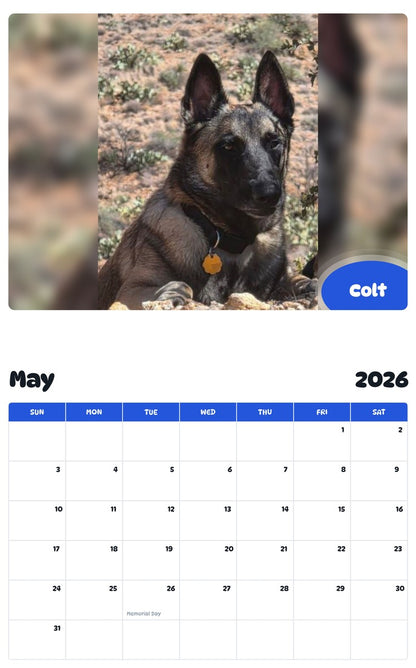 2026 - 2027 Colt - Pawidols Pet Calendar
