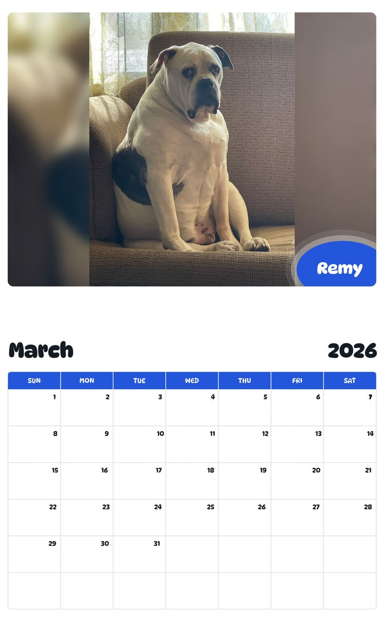November 2025 - October 2026 Remy - Pawidols Pet Calendar