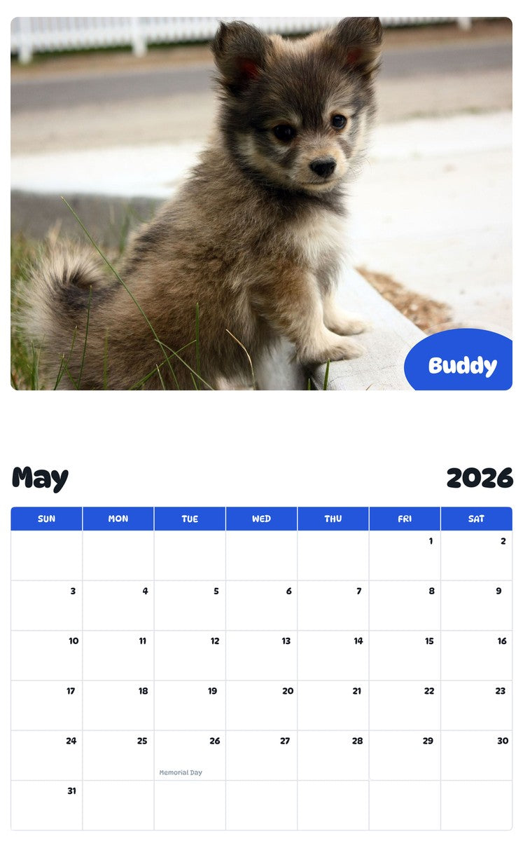 2026 - 2027 Buddy - Pawidols Pet Calendar