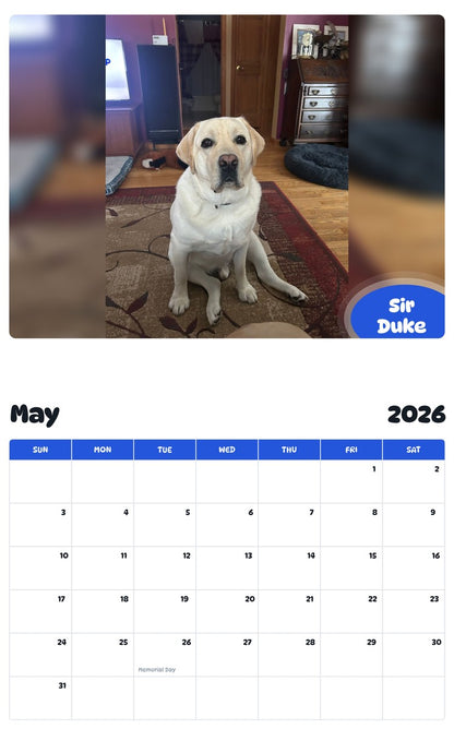2026 - 2027 Sir Duke - Pawidols Pet Calendar