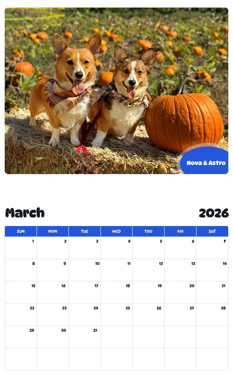 November 2025 - October 2026 Nova & Astro - Pawidols Pet Calendar