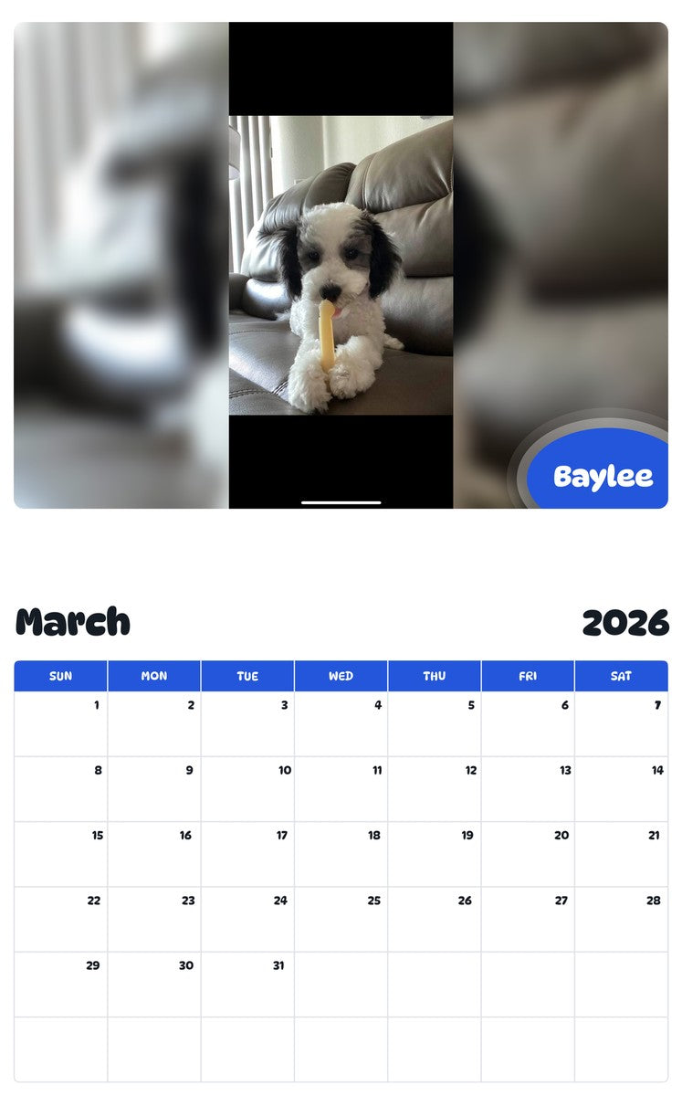 November 2025 - October 2026 Baylee - Pawidols Pet Calendar
