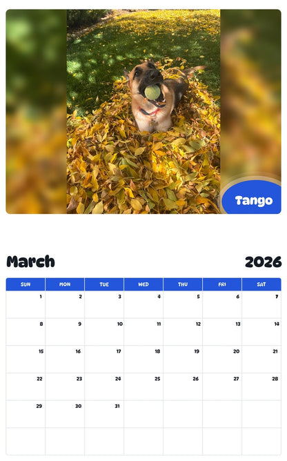 November 2025 - October 2026 Tango - Pawidols Pet Calendar