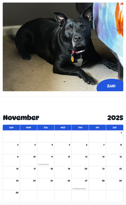July 2025 - June 2026 Zari - Pawidols Pet Calendar