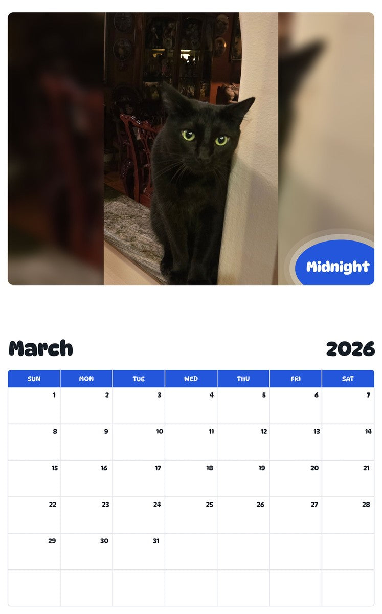 November 2025 - October 2026 Midnight - Pawidols Pet Calendar