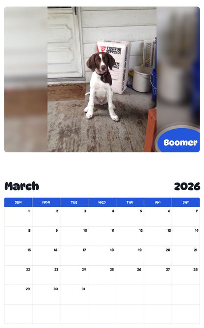 November 2025 - October 2026 Boomer - Pawidols Pet Calendar