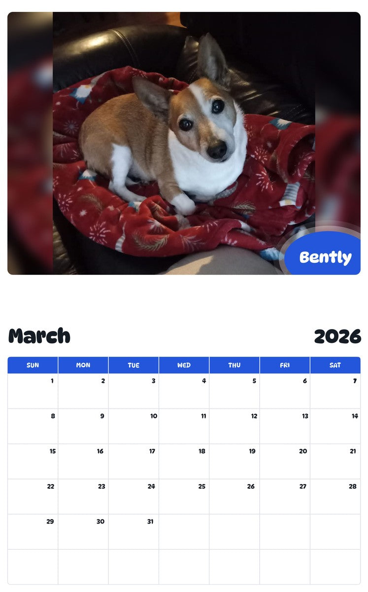 November 2025 - October 2026 Bently - Pawidols Pet Calendar