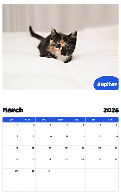 November 2025 - October 2026 Jupiter - Pawidols Pet Calendar
