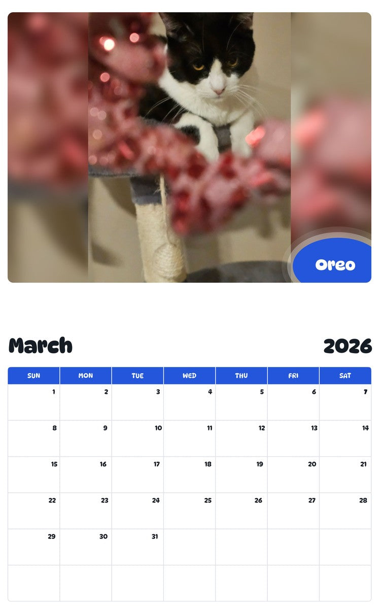 November 2025 - October 2026 Oreo - Pawidols Pet Calendar