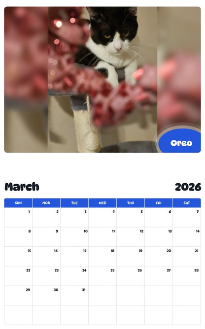 November 2025 - October 2026 Oreo - Pawidols Pet Calendar