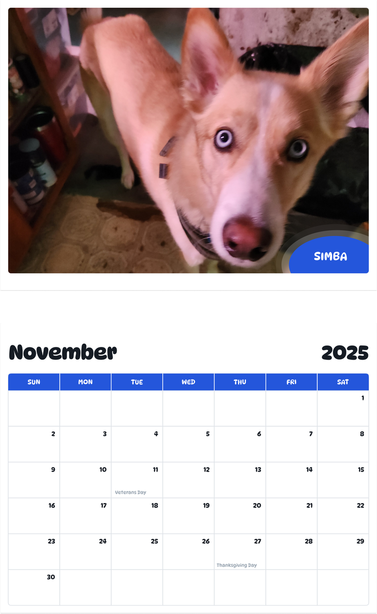 July 2025 - June 2026 Simba - Pawidols Pet Calendar