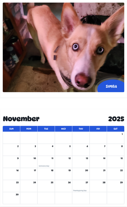 July 2025 - June 2026 Simba - Pawidols Pet Calendar