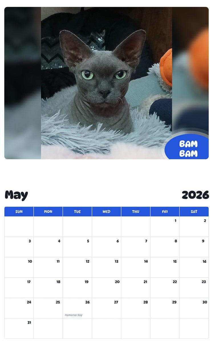 2026 - 2027 BAM BAM - Pawidols Pet Calendar