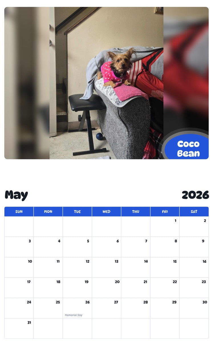 2026 - 2027 Coco Bean - Pawidols Pet Calendar