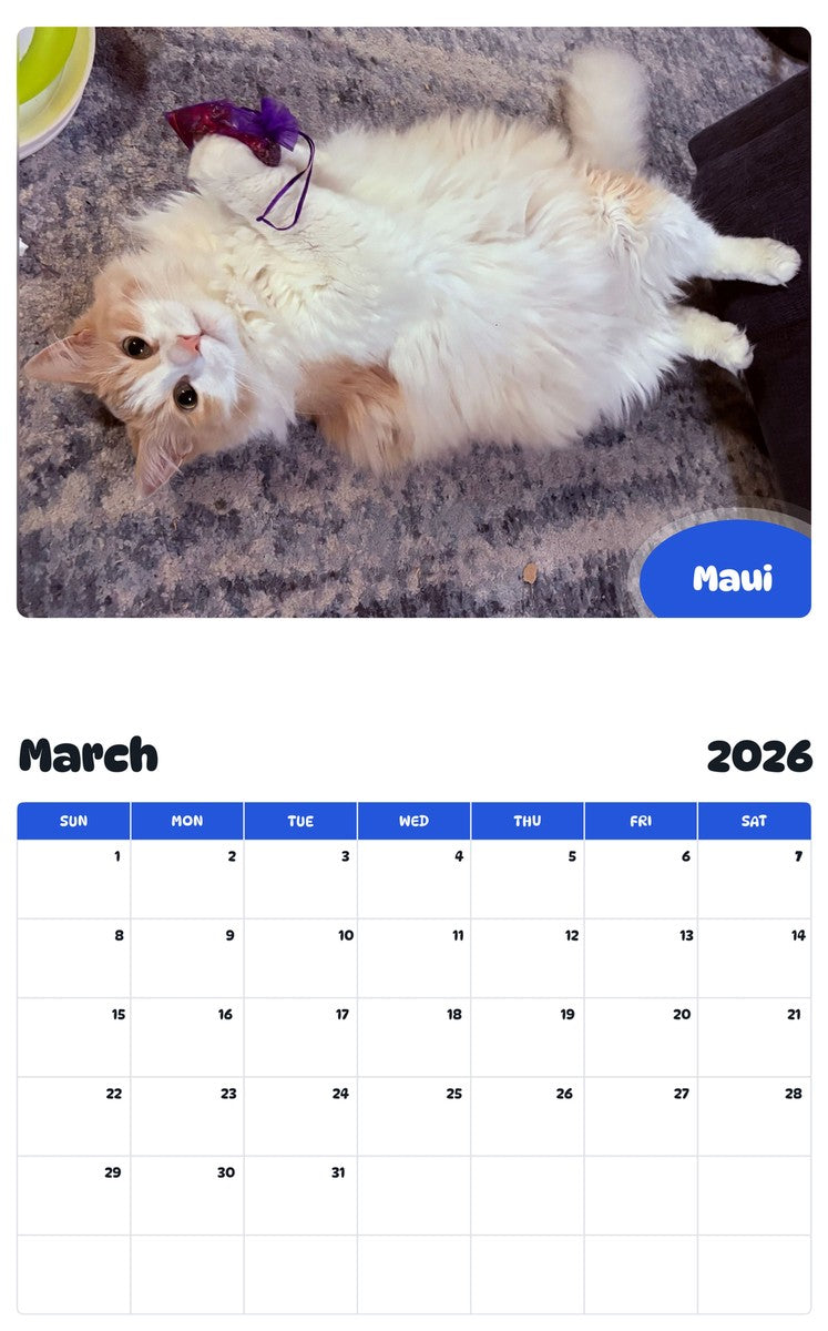 November 2025 - October 2026 Maui - Pawidols Pet Calendar