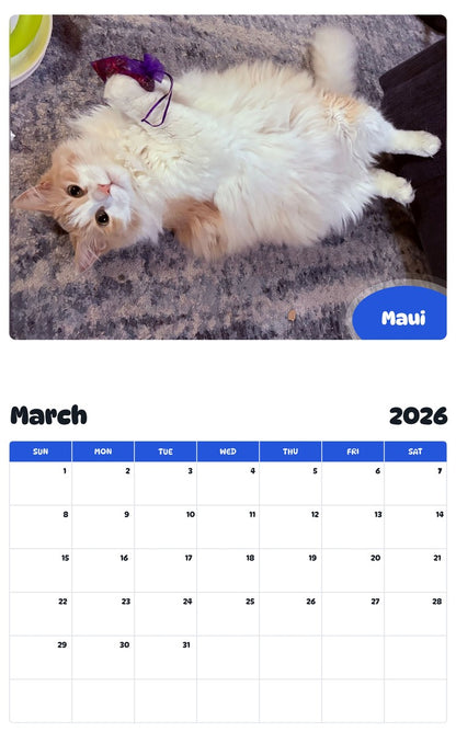 November 2025 - October 2026 Maui - Pawidols Pet Calendar