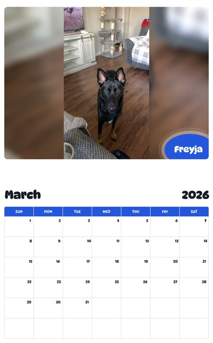 November 2025 - October 2026 Freyja - Pawidols Pet Calendar