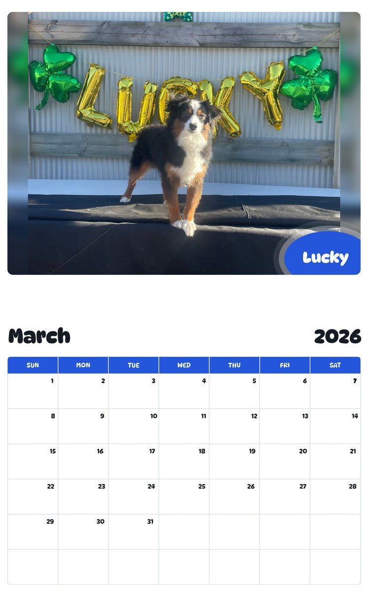 November 2025 - October 2026 Lucky - Pawidols Pet Calendar