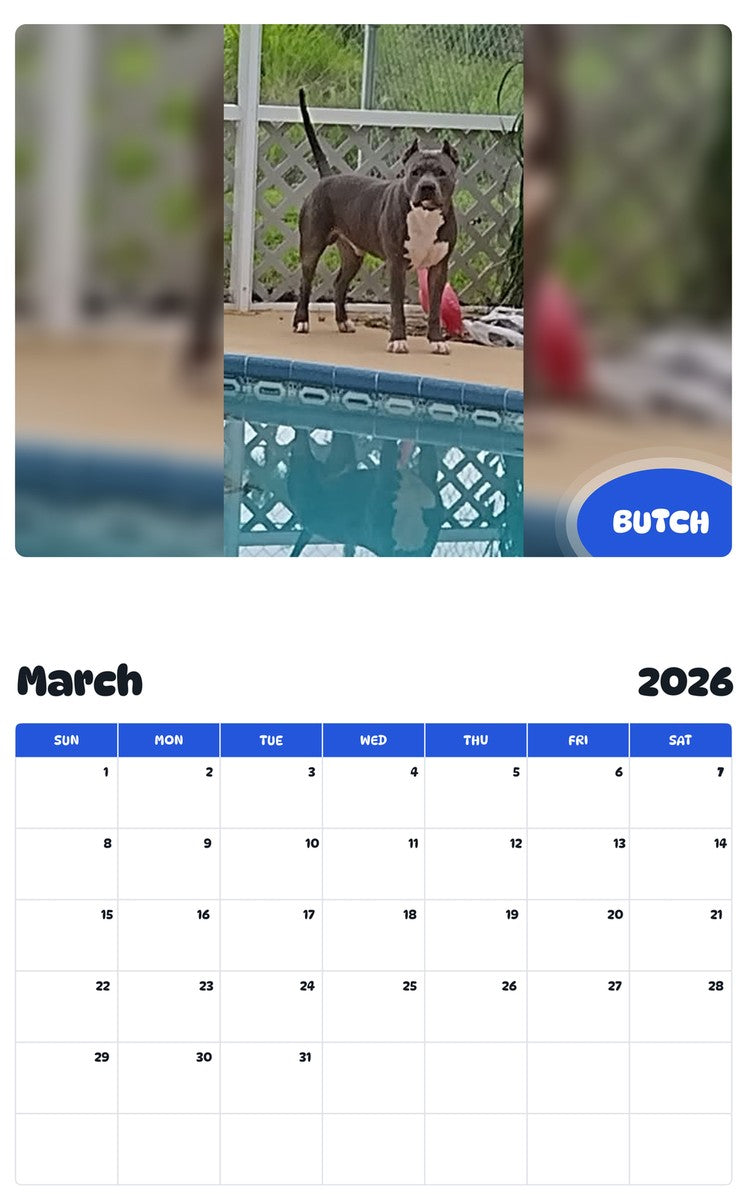 November 2025 - October 2026 BUTCH - Pawidols Pet Calendar
