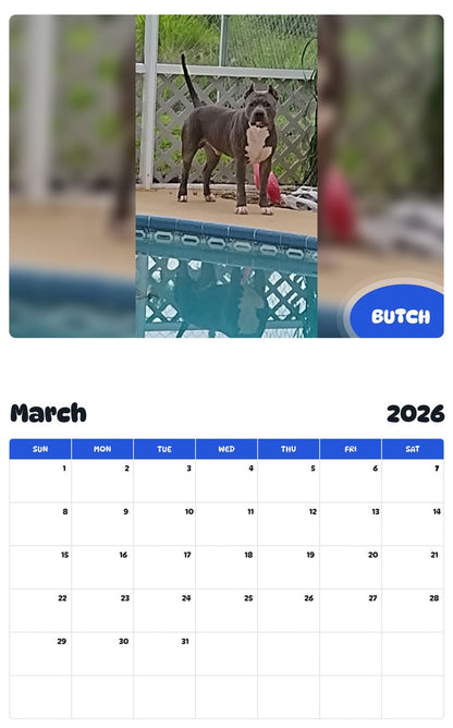 November 2025 - October 2026 BUTCH - Pawidols Pet Calendar